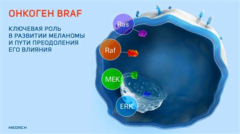 Направления будущих исследований BRAF мутации: что может измениться в борьбе с меланомой?