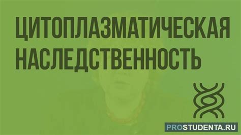 Наследственность и влияние генов на проблемы с ушами и желудком