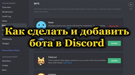 Настройка функций аудио-бота в Discord