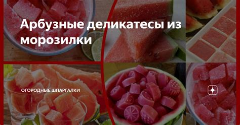 Находка для гурманов: как лучше сервировать и сохранять нежные арбузные деликатесы