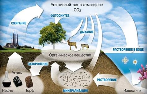 Недостаток углекислого газа