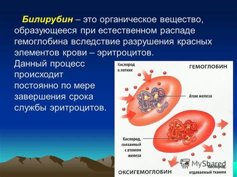 Недостаточное образование билирубина вследствие неизбежной недостаточности эритропоэза