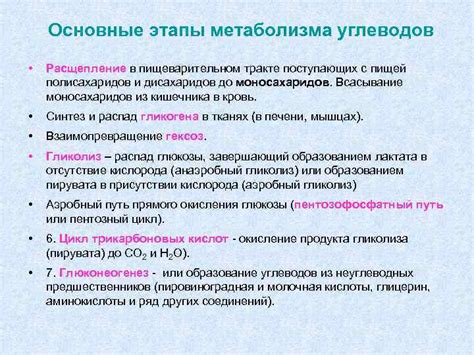 Необходимые этапы при проблеме с пищей в дыхательном тракте: шаг за шагом