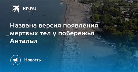 Неожиданные появления мертвых грызунов в снах у представительниц прекрасного пола: причины и возможные истолкования