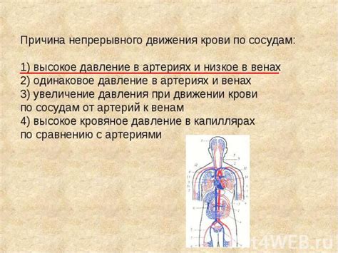 Низкое кровообращение как причина