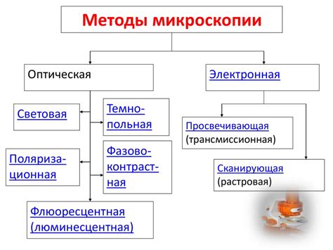 Новые открытия и передовые методы исследования в области сэм микроскопии