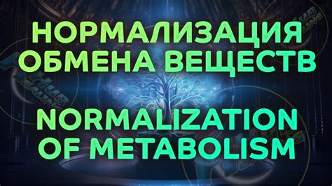 Нормализация обмена веществ: здоровье организма на плаву