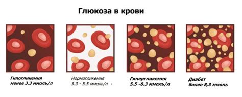 Нормализация уровня глюкозы в крови