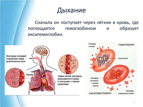 Нормальные значения уровня кислорода в организме