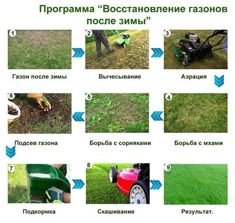 Обеспечение регенерации и восстановления газона после повреждений