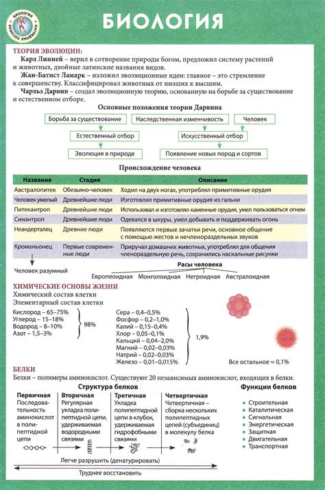 Обзор основных тем из программы ОГЭ по биологии