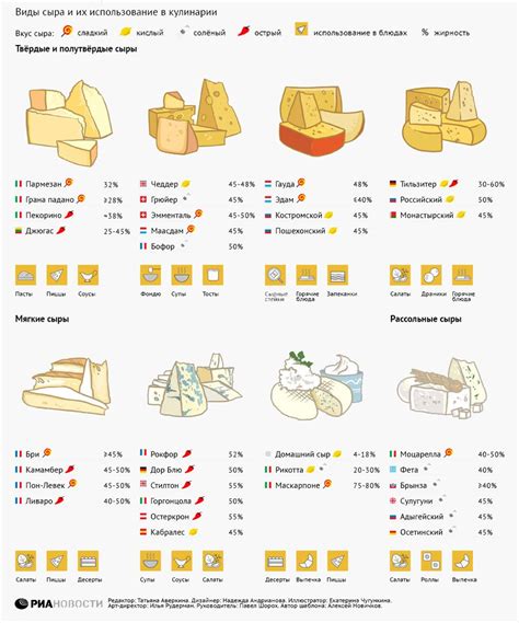 Обзор различных сыров и их характеристики