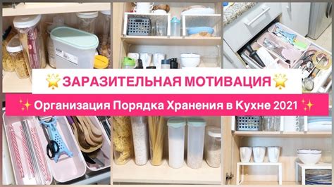 Обработка места скопления насекомых в кухонных шкафах и ящиках