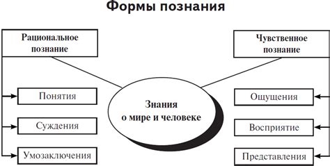 Обществознание на практике: применение знаний в реальных ситуациях