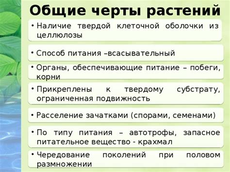 Общие черты растений в окружающей среде