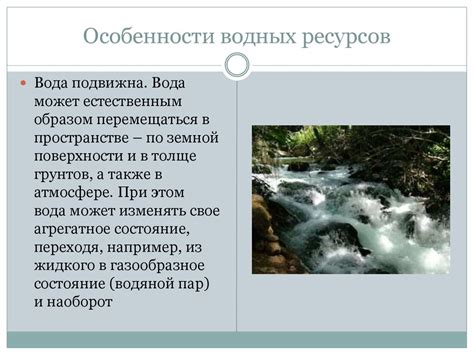 Обязанности и полномочия Рыбнадзора: защита водных ресурсов и надзор за их использованием