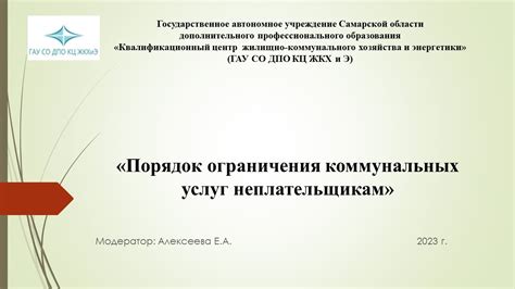 Ограничения по виду предоставляемых услуг