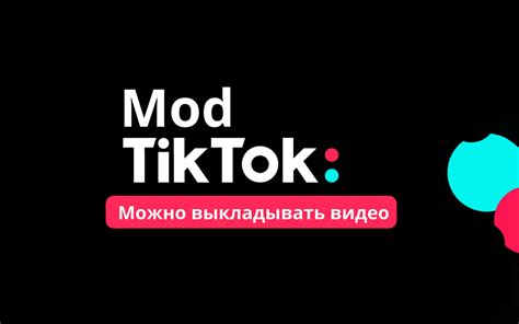 Описание основных функций ТТ Мод и его сущность