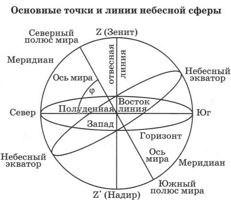 Определение наилучшего времени для посадки кизила в средних широтах Российской Федерации