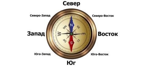 Определение направления в море: как понять, куда указывает магнитный компас с помощью смартфона