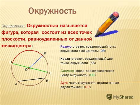 Определение окружности талии без измерения инструментами