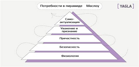 Определение потребностей и формирование концепции