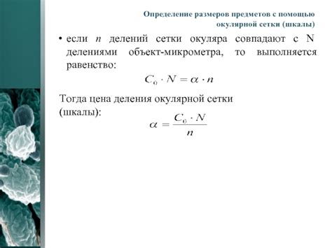 Определение размеров повреждения сетки