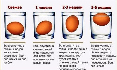 Определение свежести яйца: как проверить наличие вздутия