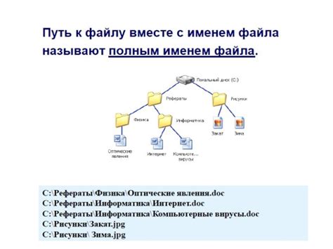 Определение содержимого efd файла