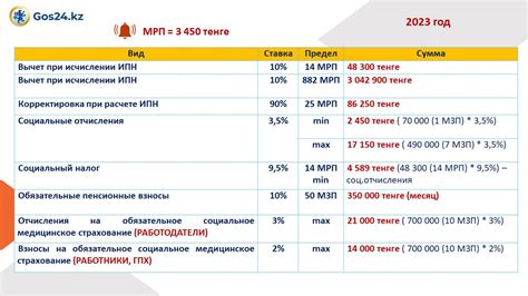 Определение ставок взносов и распределение долей участников