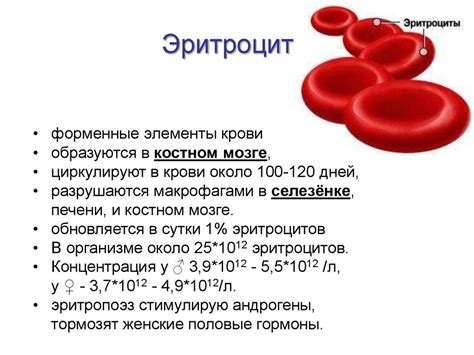 Определение уровня гемоглобина в организме: ключевые аспекты и методы анализа