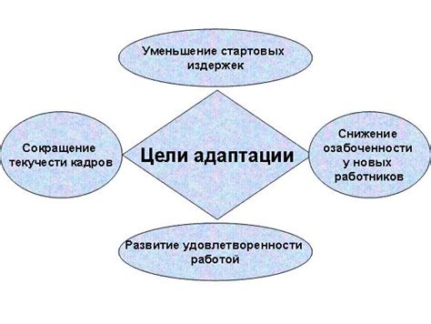 Определение цели адаптации