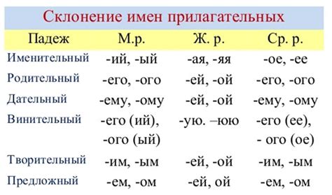 Определение числа прилагательных при неопределенных существительных