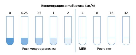 Определение чувствительности ткани к воздействию герметика