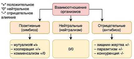 Определение SW взаимоотношений