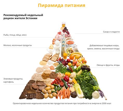 Оптимальное питание для эффективной сушки телосложения: продукты, которые следует включать в рацион, и те, которые лучше ограничить