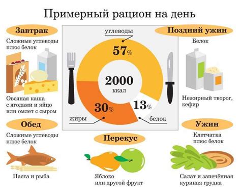 Оптимальное сочетание протеинов, жиров и углеводов для достижения желаемого физического состояния