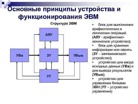 Организация системы втэк: структура и принципы функционирования