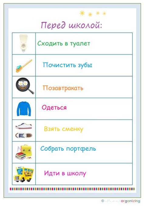 Организуйте распорядок обувных процедур вашего спутника: придайте важность улучшению состояния ног и тщательной гигиене