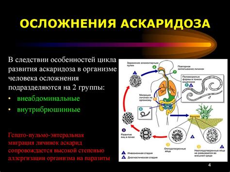 Осложнения аскаридоза: когда проблемы со здоровьем становятся серьезными