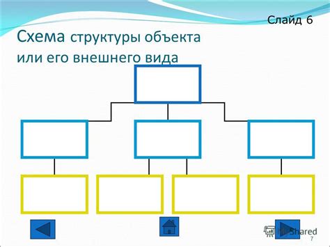 Осмотр внешнего вида и структуры