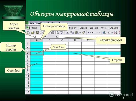 Основная функция границы вокруг ячейки и ее значимость