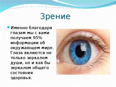 Основная функция специалиста по глазам: изучение состояния глаза внутри