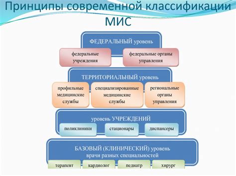 Основные виды медицинских услуг, предоставляемых стоматологическим центром