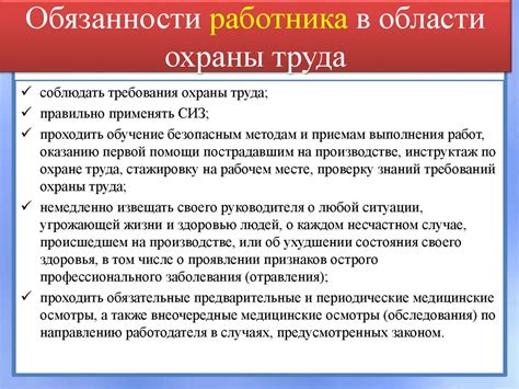 Основные задачи и обязанности в рамках работы специалиста Робик 409