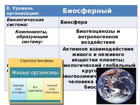 Основные компоненты конструкции, формирующей гиперболическую систему