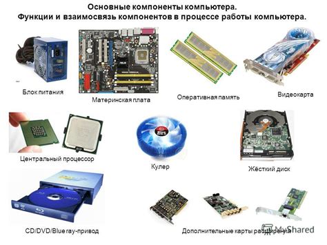 Основные компоненты состава питания по методике 4Б