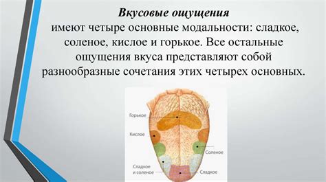 Основные методы диагностики утраты ощущения вкуса и аромата