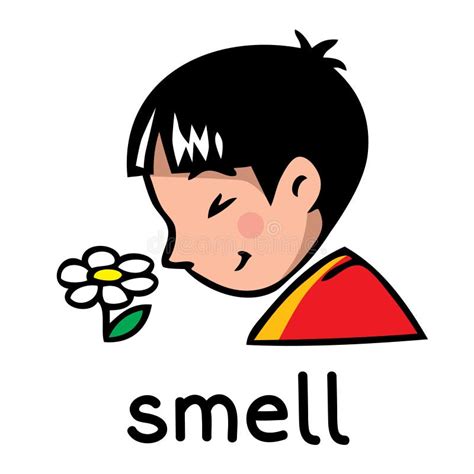 Основные методы стимуляции чувства запаха