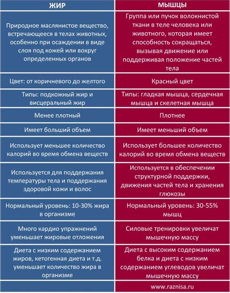 Основные отличия между шорткодом и виджетом